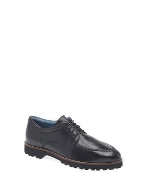 Robert Zur Monta Lug Derby - Gray