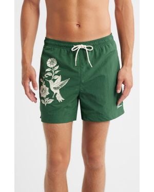 PacSun Hummingbird Floral Swim Trunks - Green