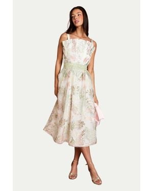Coast Fan Bodice Embroidered Mesh Midi Dress - Natural
