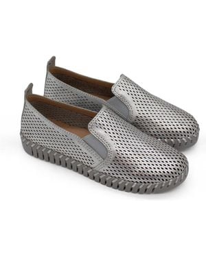 BOTTER Bottwister Verao Xxiii Slip-On Sneaker - Gray