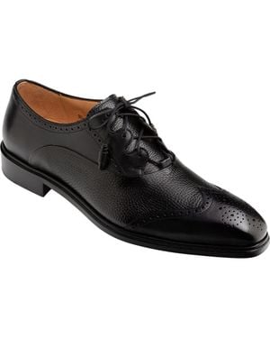 Mezlan Nord Wingtip Oxford - Black