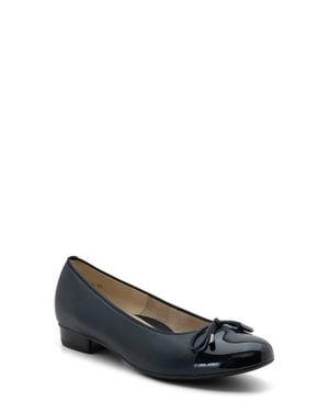 Ara Belinda Ballet Flat - Blue