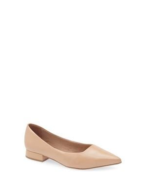 BOTTER Alessandra Pointed Toe Ballet Flat - Brown