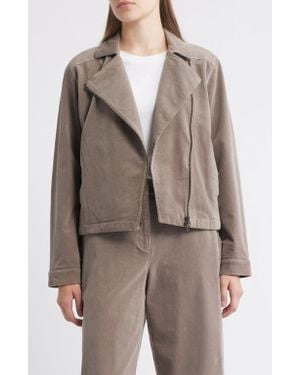 Eileen Fisher Short Rider Jacket - Brown