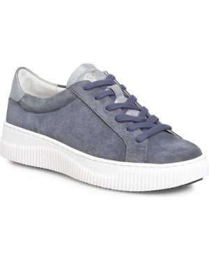 Söfft Fianna Sneaker - Blue