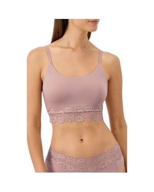Pact Lace Modern Scoop Bralette Made With Organic Cotton - Purple