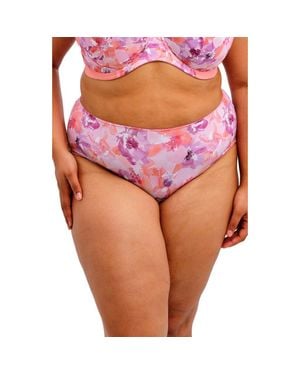 Goddess Kayla Briefs - Pink