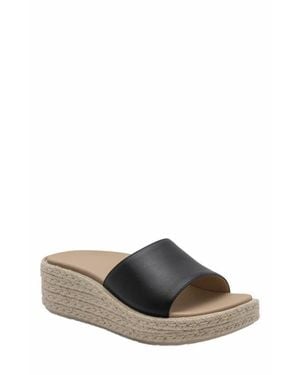 ABEO Solstice Slide - Brown