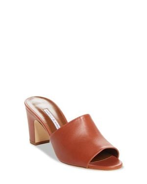 Manolo Blahnik Rapallarbar Block Heel Slide Sandal - Brown