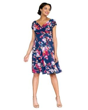 Tiffany Rose Maternity Alessandra Maternity Dress - Blue