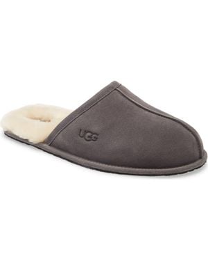 UGG Scuff Slipper - Gray