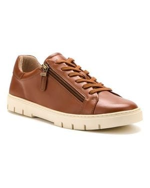 ABEO Roam Lacesneaker - Brown