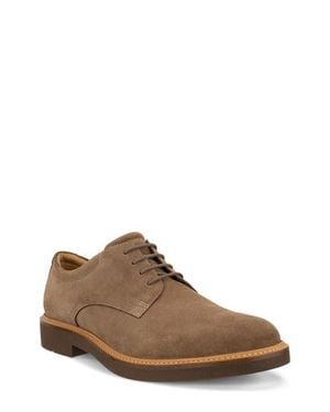 Ecco Metropole London Derby - Brown