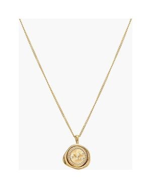 Bearfruit Jewelry 14K Plated Seal Constellation Necklace 12 Zodiac Signs Holiday Gift Guide - Metallic