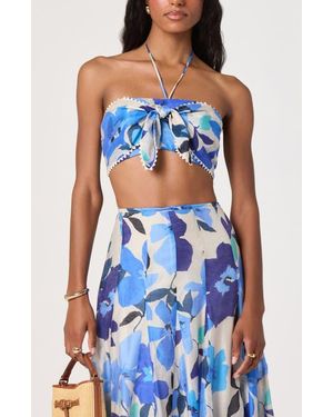 Astr Kehlani Floral Crop Halter Top - Blue