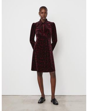 Finery London Capri Animal Print Knee Length Dress - Multicolor