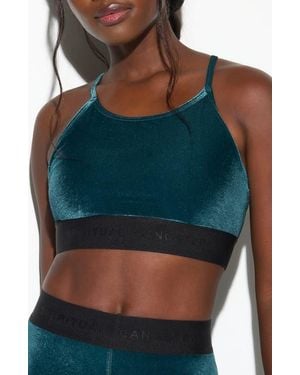 Spiritual Gangster Shiloh Velour Sports Bra - Blue