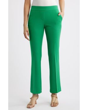 Anne Klein High Waist Pull-On Pants - Green