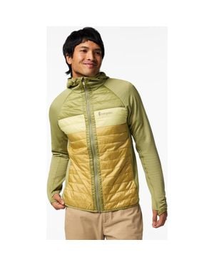 COTOPAXI Capa Hybrid Insulated Hooded Jacket - Green
