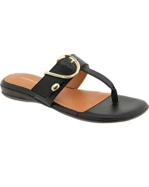 Andre Assous Nix Flip Flop - Black