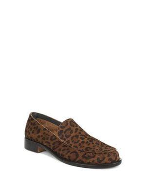 Franco Sarto Cove Loafer - Brown