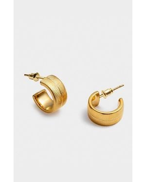 Katie Loxton Ciana Snake Huggie Hoop Earrings - Metallic