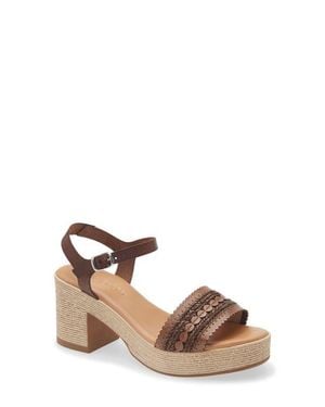 Cordani Markelle Espadrille Ankle Strap Platform Sandal - Brown