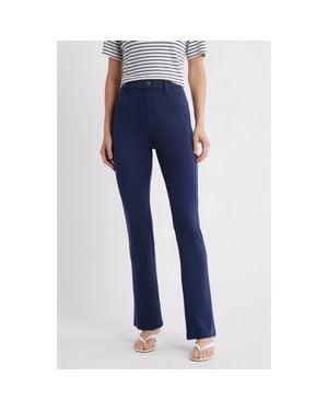 Hue High Rise Bootcut Pants - Blue