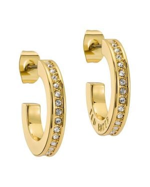 Ted Baker Sinliaa Pavé Hoop Earrings - Metallic
