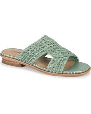 Baretraps Origins Navene Woven Slide Sandal - Green