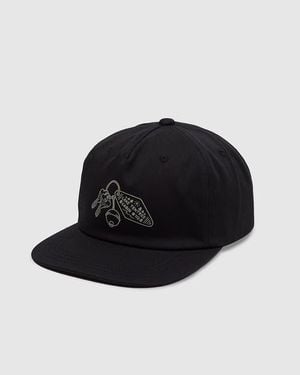 Tentree Lake Getaway Apex Hat - Black