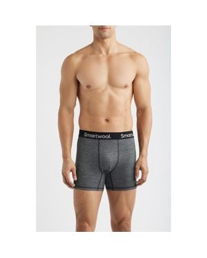 Smartwool Active Boxer Briefs - Blue