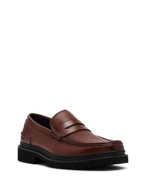 Steve Madden Ashland Penny Loafer - Brown
