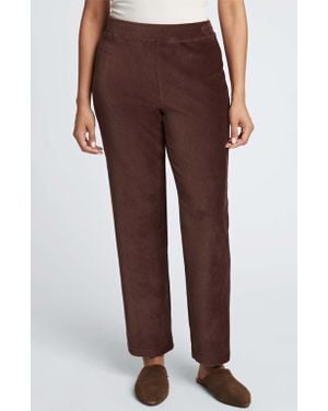 Foxcroft Caden Plush Corduroy Pants - Brown
