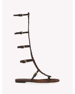 Gianvito Rossi Zaira Gladiator Sandal - Natural