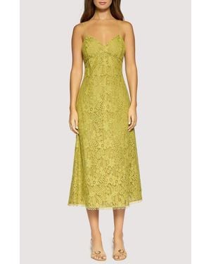 Lost + Wander Serafina Floral Lace Cotton Blend Midi Dress - Yellow