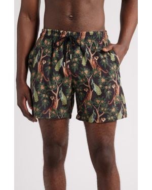 Stone Rose Tiger Print Swim Trunks - Black