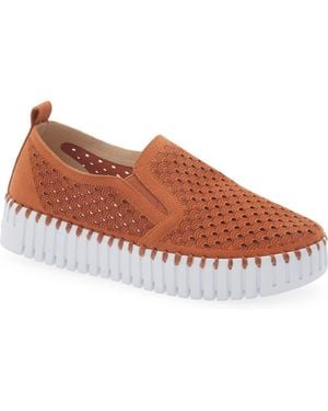 Ilse Jacobsen Tulip Slip-On Sneaker - Brown