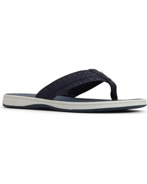 Sperry Top-Sider Seafish 3 Perforated Flip Flop - Blue