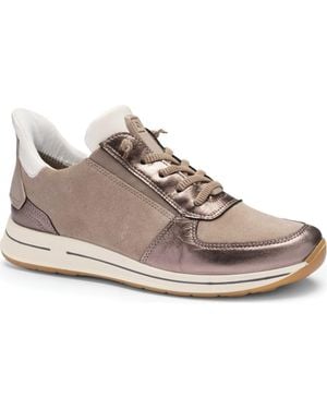 Ara Ovation Sneaker - Gray