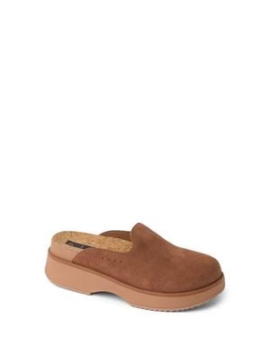 Reef Vista Skye Platform Clog - Brown