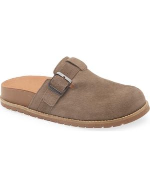 Chocolat Blu Yuko Clog - Brown