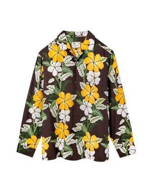 Tombolo Night Bloom - Yellow