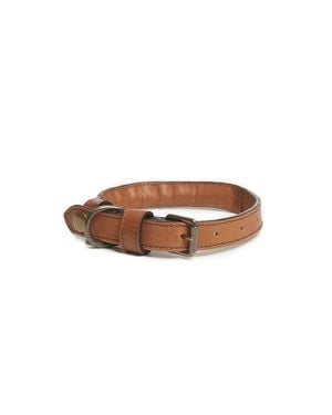 Korchmar Gordon Leather Dog Collar - Brown