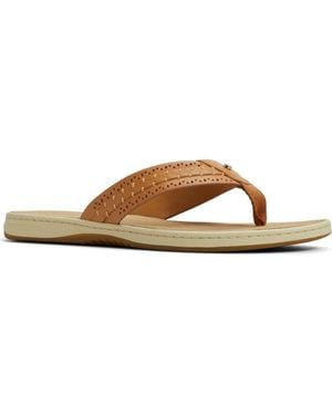 Sperry Top-Sider Seafish 3 Perforated Flip Flop - Brown