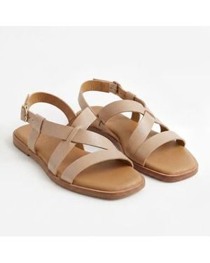 Nisolo Suri Sandal - Brown