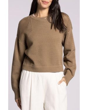 Thread & Supply Jasmine Cotton Mesh Sweater - Brown