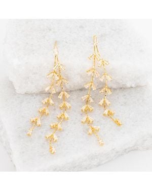 Starfish Project Graceful Willow Zircon And Dangle Earrings - Metallic