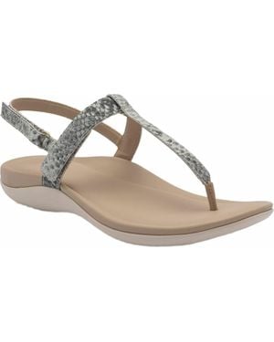 ABEO Oasis T Strap Sandal - Metallic