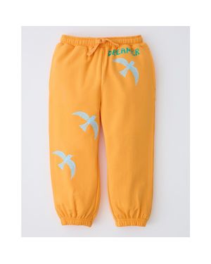 Storq French Terry Jogger - Orange